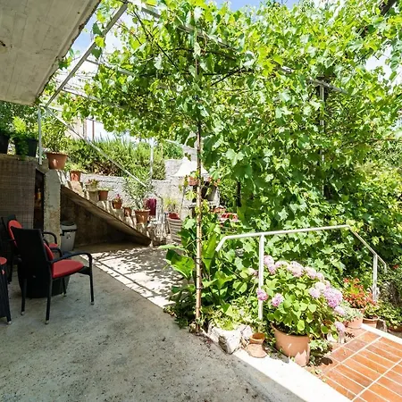 Zarac Dubrovník