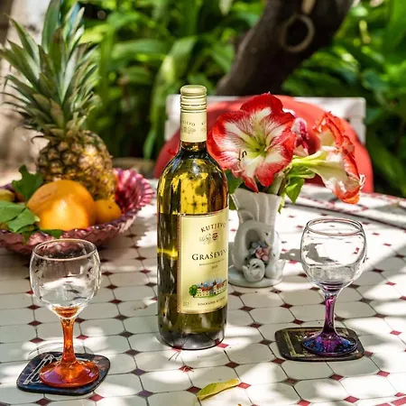 Apartmán Zarac Dubrovník